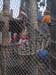 99IMG_2687