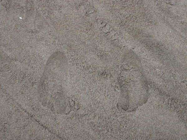 25DSC02436