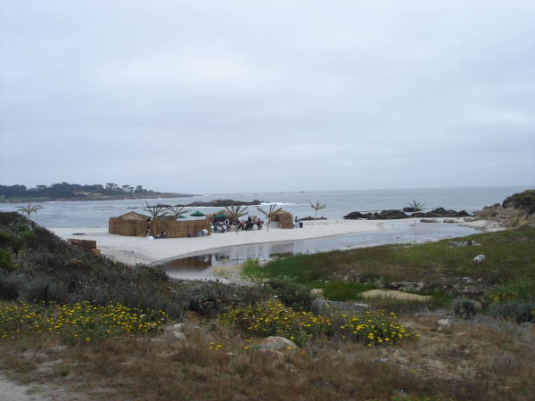 46DSC02479