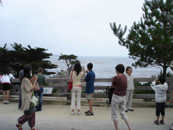 47DSC02483