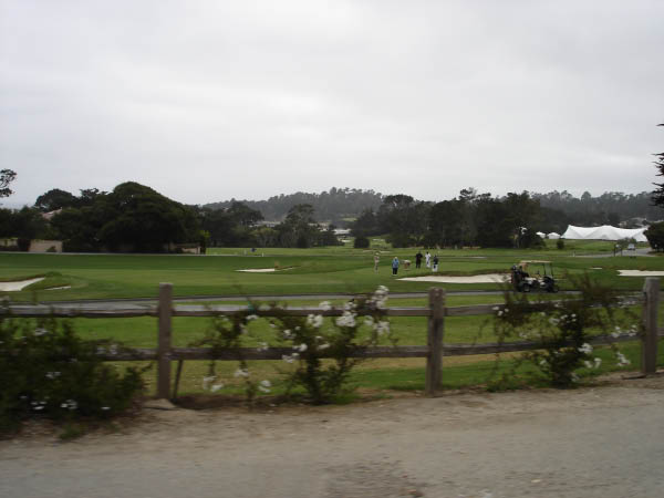 48DSC02484