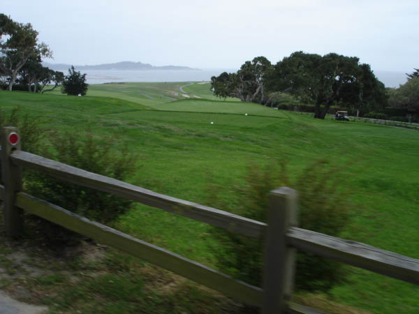 49DSC02486