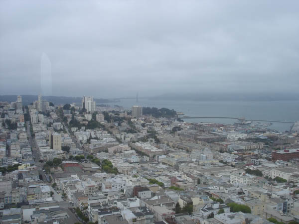 56DSC02493