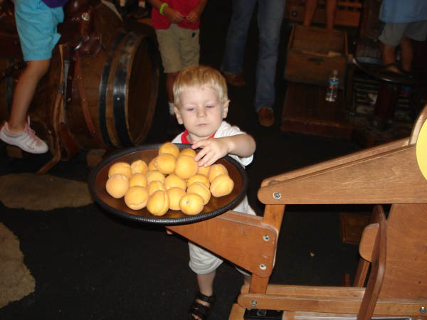 82DSC02551