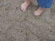 26DSC02437