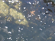 35DSC02450