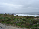 42DSC02469