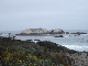 43DSC02475