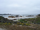 46DSC02479