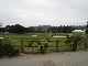 48DSC02484