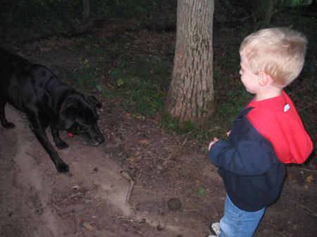 fetch