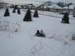 19IMG_8788