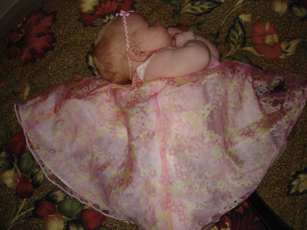 04DSC01561