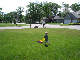 53DSC00949