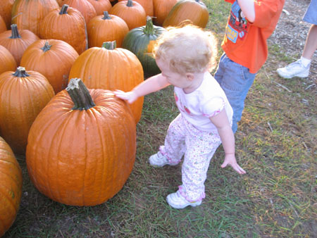 IMG_6068